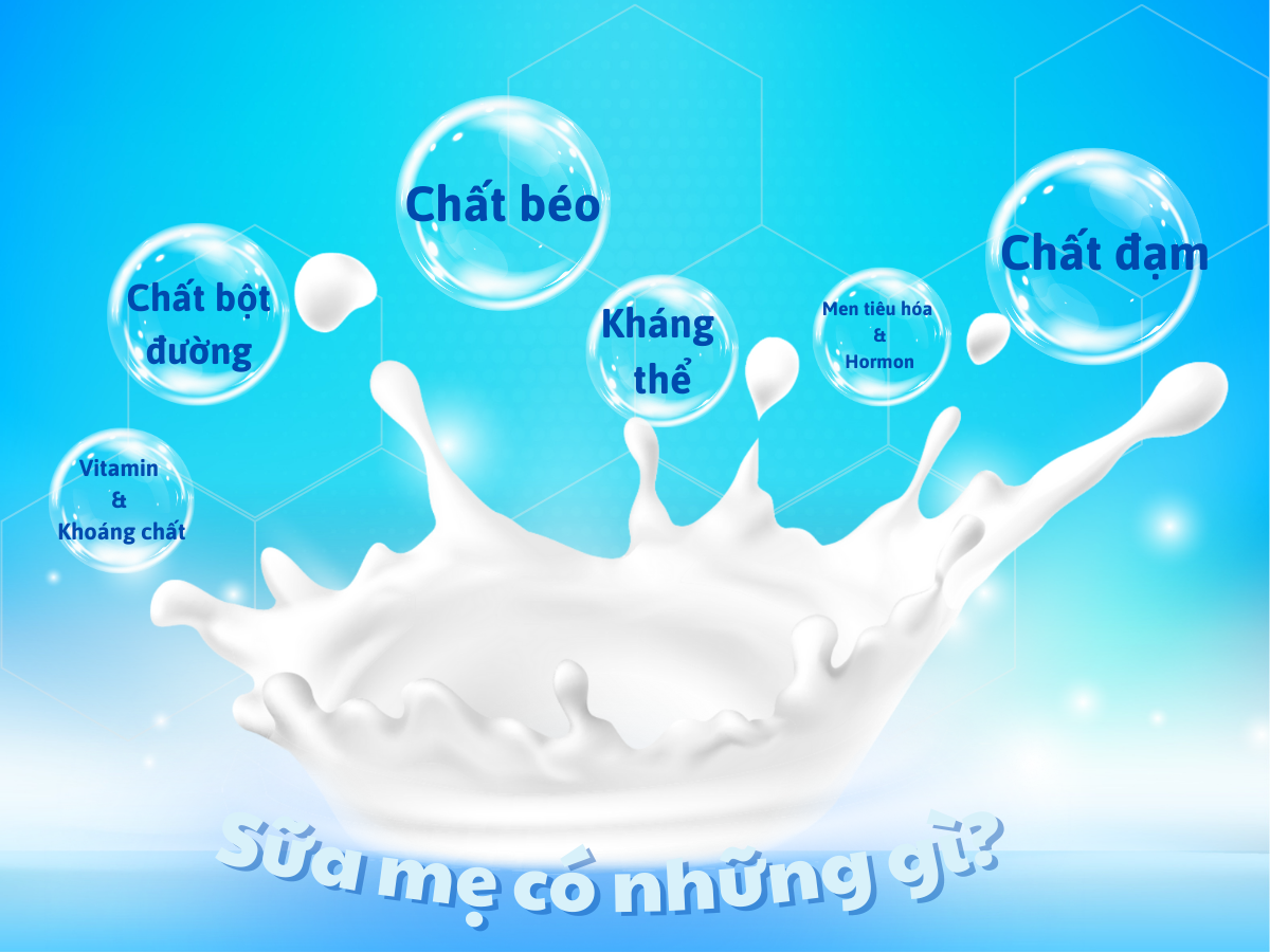 Sữa mẹ có thành phần gì